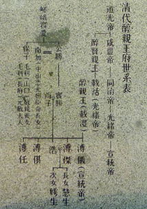 关于其他罕见中华民族古代复 姻 解析篇章.....