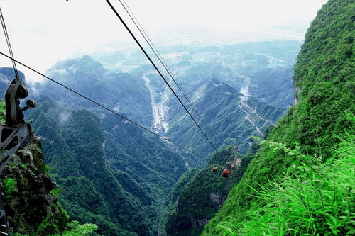 Day3：青城山：爬断腿还看不到风景！