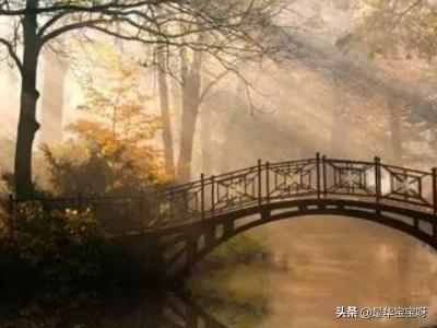 三座奇葩桥梁：拍照神器还是交通运输工具？