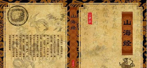 七、 结论（或者根本不是结论）