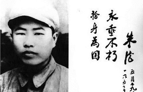 一、 1993年的鸡，飞不动了？