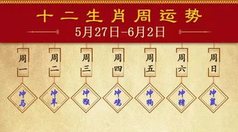 1991年10月27日下午5点半出生的女生，今日运势如何？