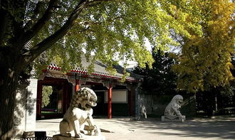 1. 清华大学：古树参天书香浓郁， 还有我的迷茫
