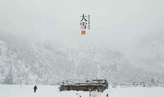 奇怪又浪漫——为大雪出生的小公主取名的荒诞指南