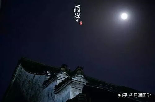 鼠（子时）——清晨的小宇宙