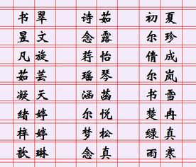 儒雅秀气型（文质彬彬）