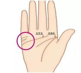 手相真的能准确预测未来运势吗？