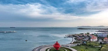 王先生的悲惨遭遇