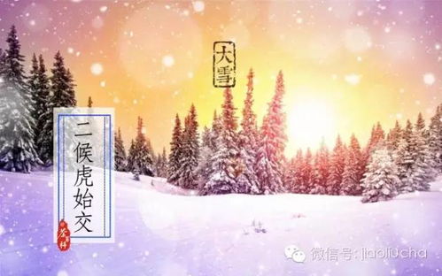 大雪风俗盘点，节气由来揭秘！