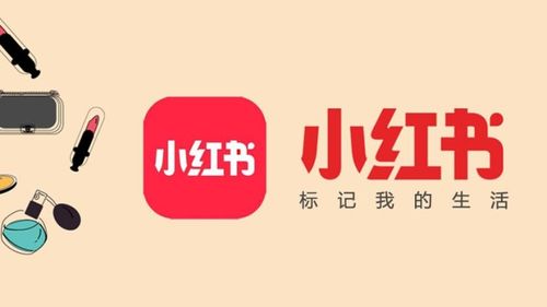 2026年属狗各月份运势具体如何，每月运势详细分析是什么？