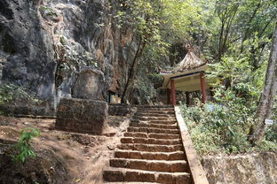 万柏村成德大道南侧西部——旅游打卡必去的“油菜花海”