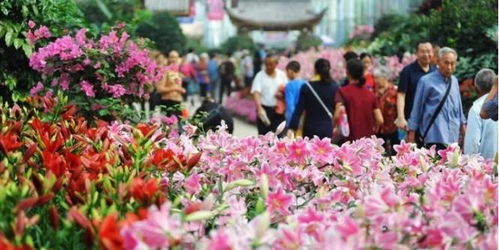 花舞人间：藏在乡野间的温柔