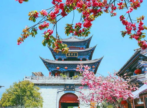 Day1：出发前记得带脑子