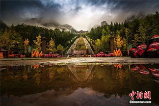 一、  湿地的奇迹：地球之肾与那些不可言说的秘密