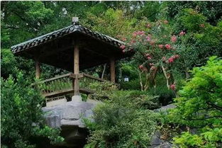 四、  南山植物园：老牌赏菊地