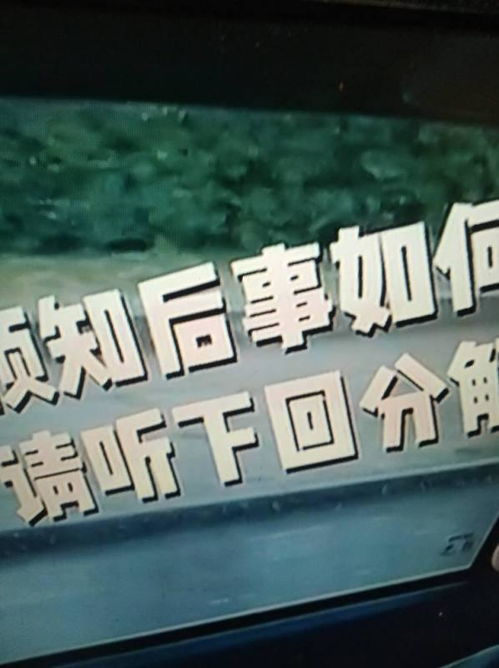 一钱不落虚空地是哪个生肖？一钱不落虚空地出自哪里是什么寓意？