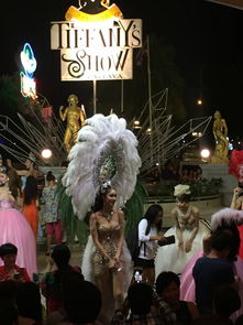 蒂芬尼人妖秀：到底是男是女不重要