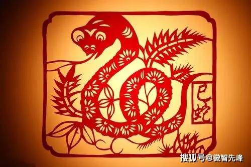 属蛇人2026年的财运和运气究竟如何？