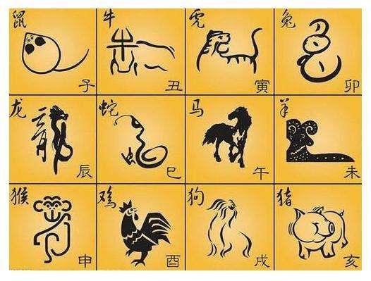 生肖龙的劫数与化解之道