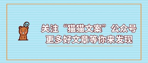 二、 创意组合与语言艺术