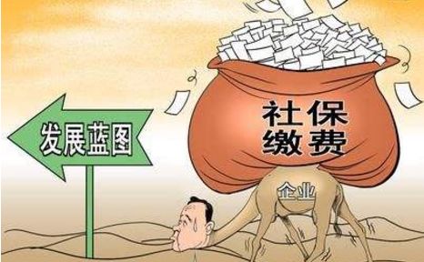 震惊！种生基竟能改变命运？2026年黄历揭秘