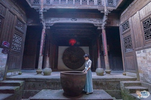 一、开场白——随意乱弹