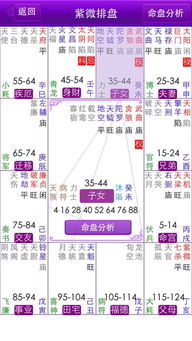 揭秘紫微斗数：夫妻宫揭秘你的情感婚姻命运