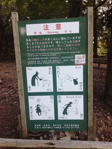 门票真相大揭秘：免费还是收费？