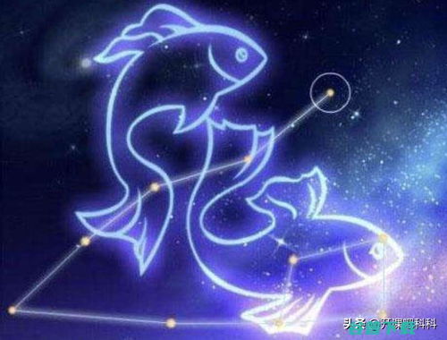 双子座和双鱼座星座配对是否合适？