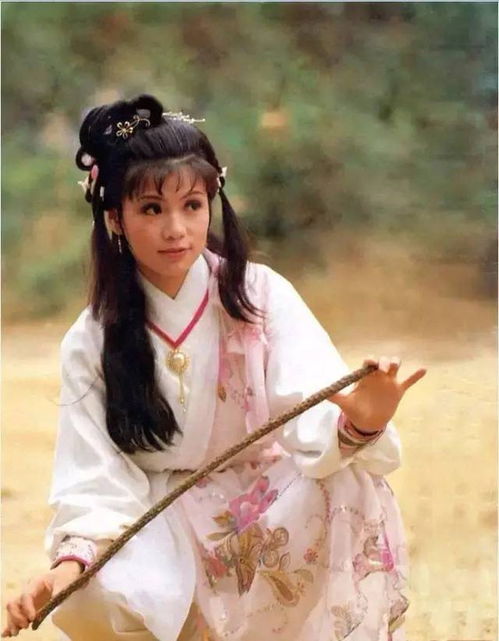 双子座：韦较小宝/黄蓉（鹿鼎记/射雕英雄传）
