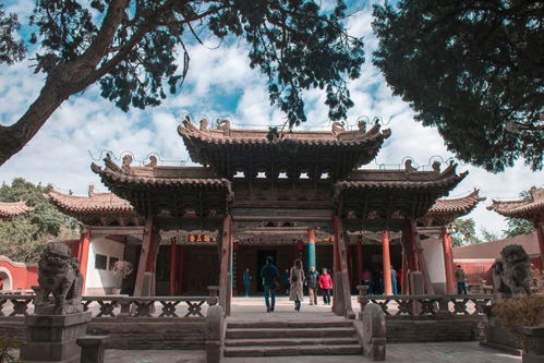 甘肃武威：千年古韵，现代风情，历史与现代交融爆款地