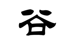 四、 起名忌讳及避开的误区