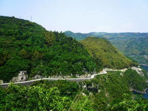 盘山公路的神秘诱惑