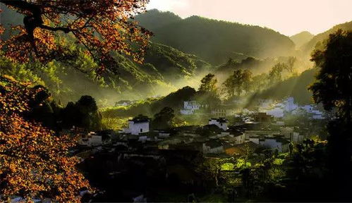 石城枫叶！摄影师都疯了！