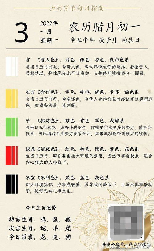 真实案例分享