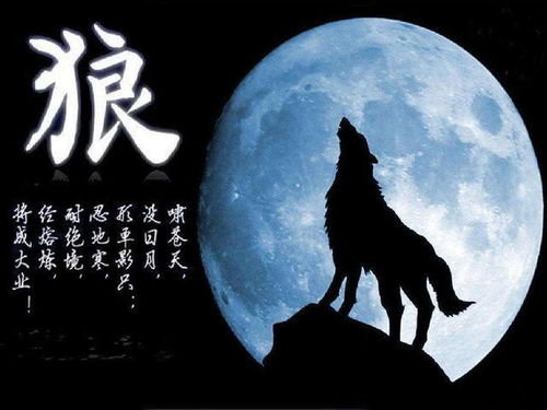 阴阳鱼游荡