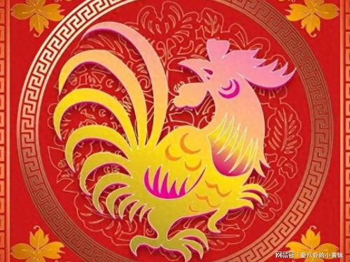 红榜生肖：鸡、蛇、鼠