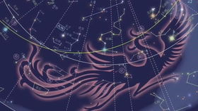 命带青龙星宿的女性命运特征有哪些详细表现？