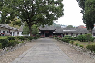 第三站：卧龙山风景区——云雾里的神秘