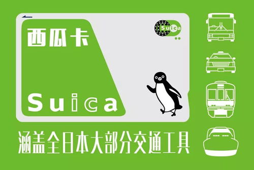 五、详细注意事项，别踩雷！