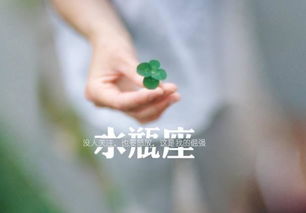 1. 害怕承担责任