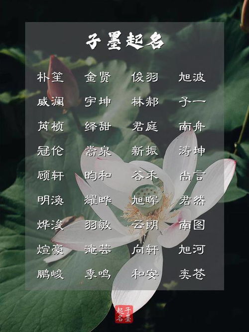 惊艳五行缺金男孩的命名困境