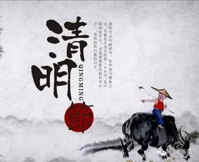 千年孝道，清明祭祖，传承爆款文化！