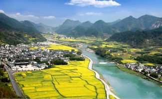 广东龙川风水,龙川村风水布局特点