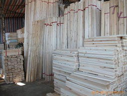 桂林大风山木材市场,广西桂林风水木材价格