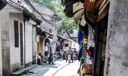 往事脉络：从老厂房到异域天堂