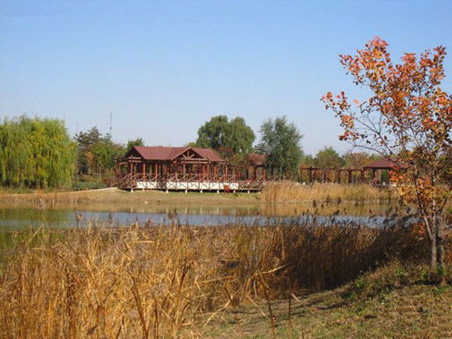 郊野公园：从枯燥到狂欢