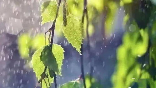雨水三元和生肖星座那些事儿