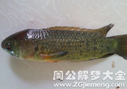二、 老房子与恐惧：童年记忆的幽灵