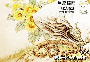 蛇的神秘力量
